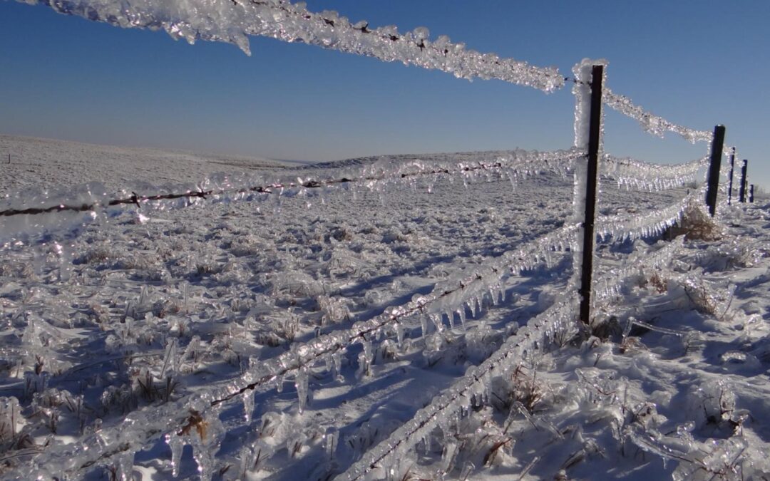Big Thaw Next Week – AWSSI Scale: “Average Winter” for MSP So Far